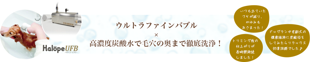 Halope ウルトラファインバブル　高濃度炭酸水で毛穴の奥まで徹底洗浄！