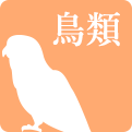 鳥類